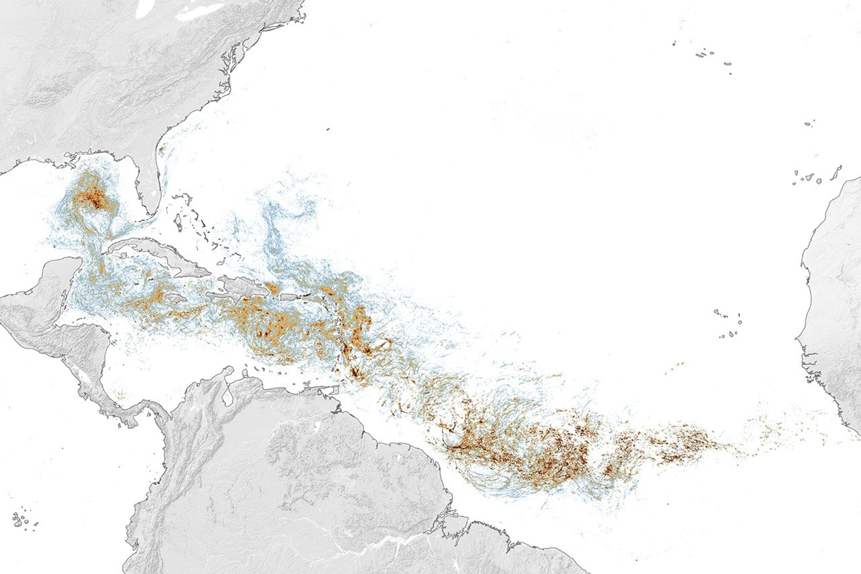 Satellite-derived June 2026 Sargassum density across the tropical Atlantic, shown as scattered blue, orange and brown concentrations from West Africa through the Caribbean and Gulf.